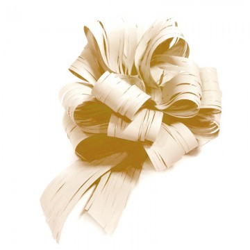 20-raffia-ribbons-with-handle-natural