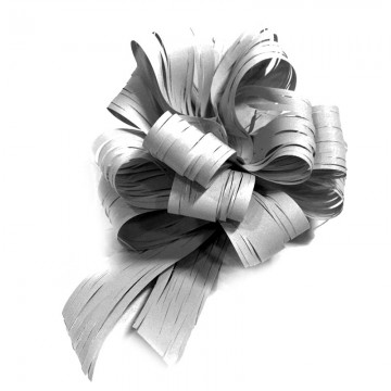 20-raffia-ribbons-with-pull-tab-silver