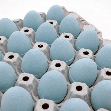 20 Egg bath bombs - Neiva Blackberries Ethike Wholesale
